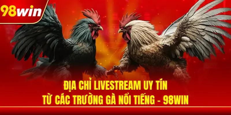 Khám phá địa chỉ livestream uy tín từ các trường gà nổi tiếng