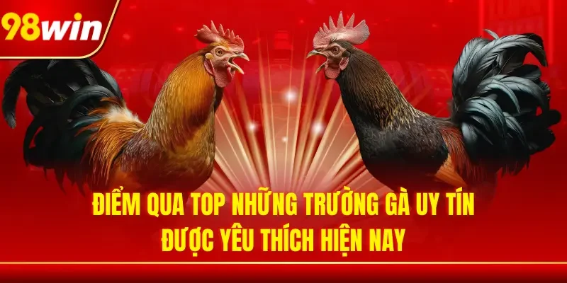 Điểm qua top những trường gà uy tín được yêu thích hiện nay